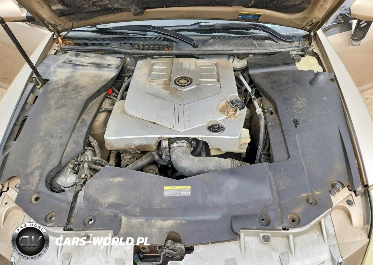 2005 Cadillac Sts VIN:1G6DW677250180579 - 11