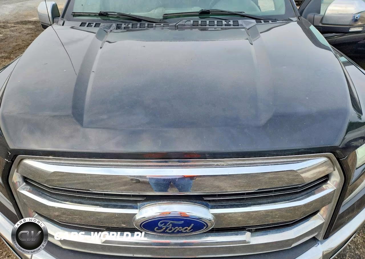 2015 Ford F150 Supercrew VIN:1FTFW1EGXFFA81373 - 11