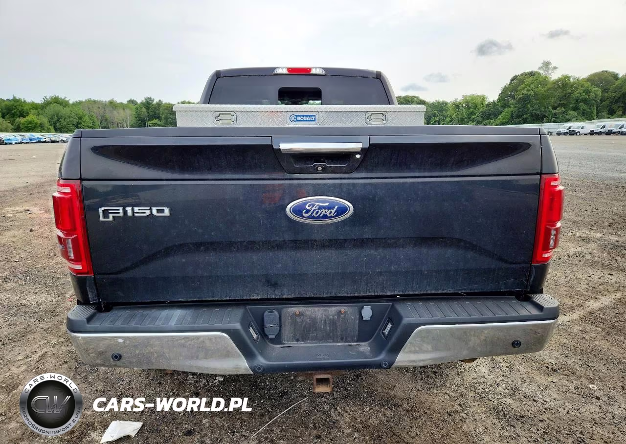 2015 Ford F150 Supercrew VIN:1FTFW1EGXFFA81373 - 6
