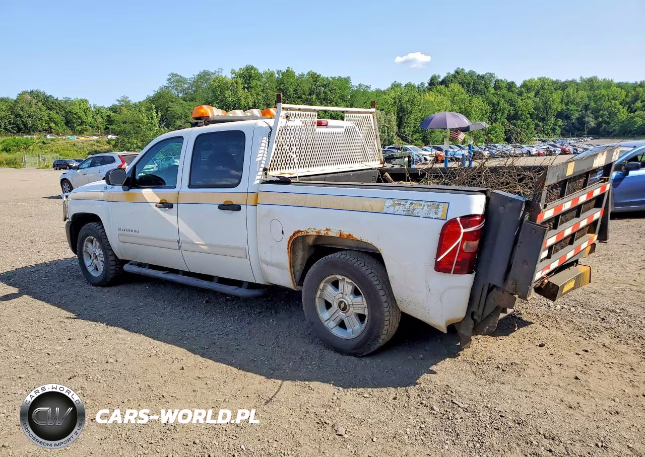 2010 Chevrolet Silverado K1500 Hybrid VIN:3GCXKUEJ0AG216204 - 2