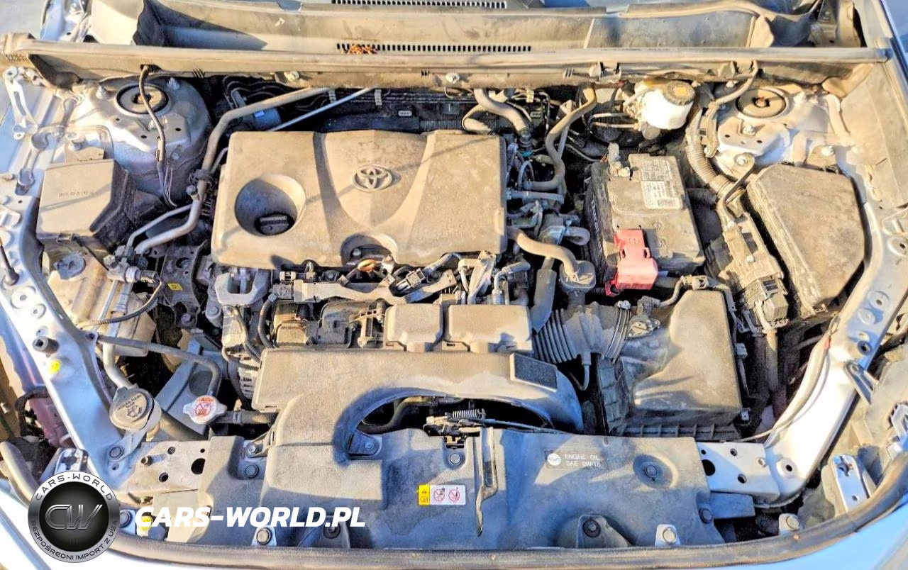 2019 Toyota Rav4 Xle VIN:2T3W1RFV0KW018317 - 11