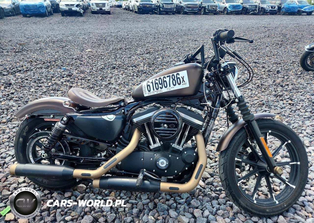 2019 Harley-Davidson Xl883 N