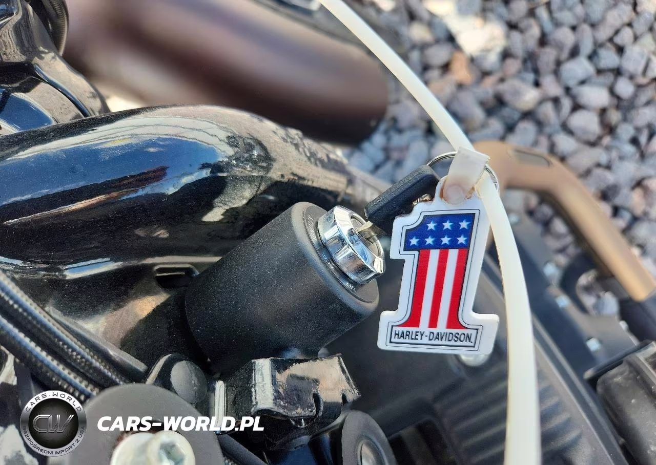 2019 Harley-Davidson Xl883 N VIN:1HD4LE213KC434425 - 8