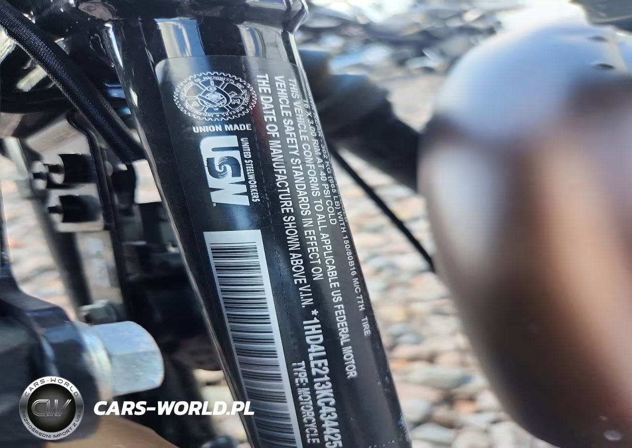2019 Harley-Davidson Xl883 N VIN:1HD4LE213KC434425 - 9