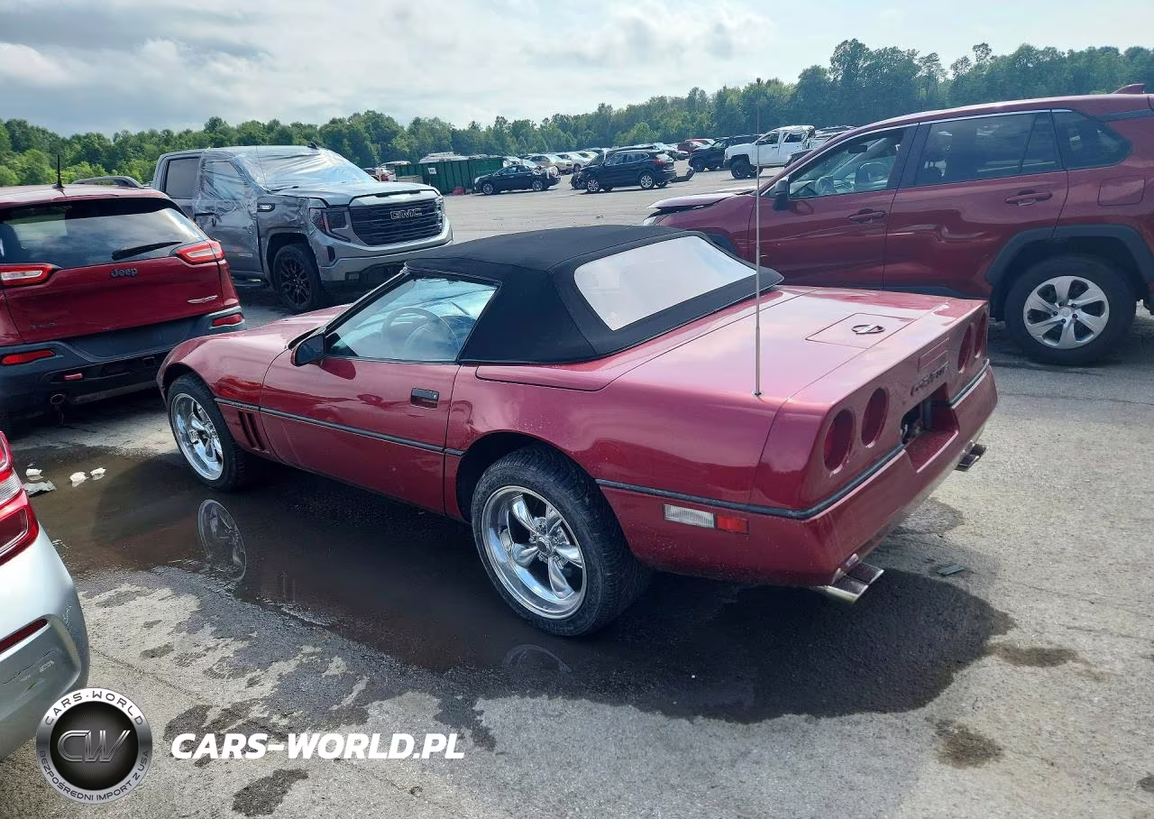 1990 Chevrolet Corvette VIN:1G1YY3384L5116574 - 2