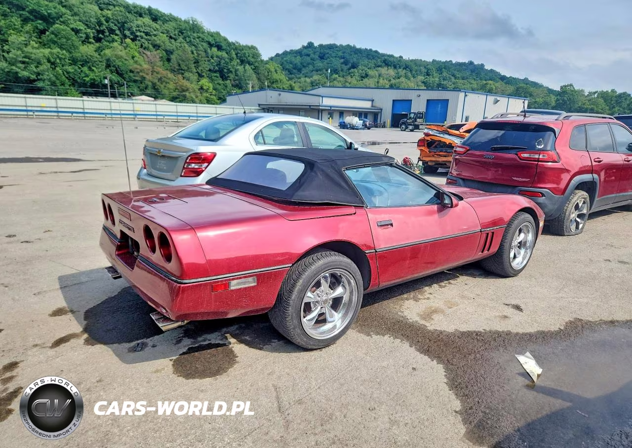 1990 Chevrolet Corvette VIN:1G1YY3384L5116574 - 3