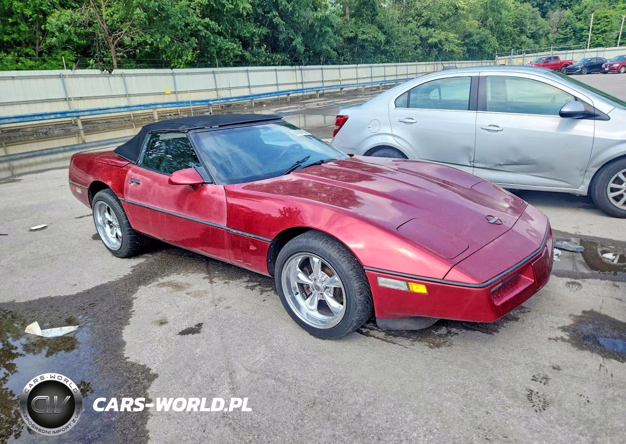 1990 Chevrolet Corvette VIN:1G1YY3384L5116574 - 4