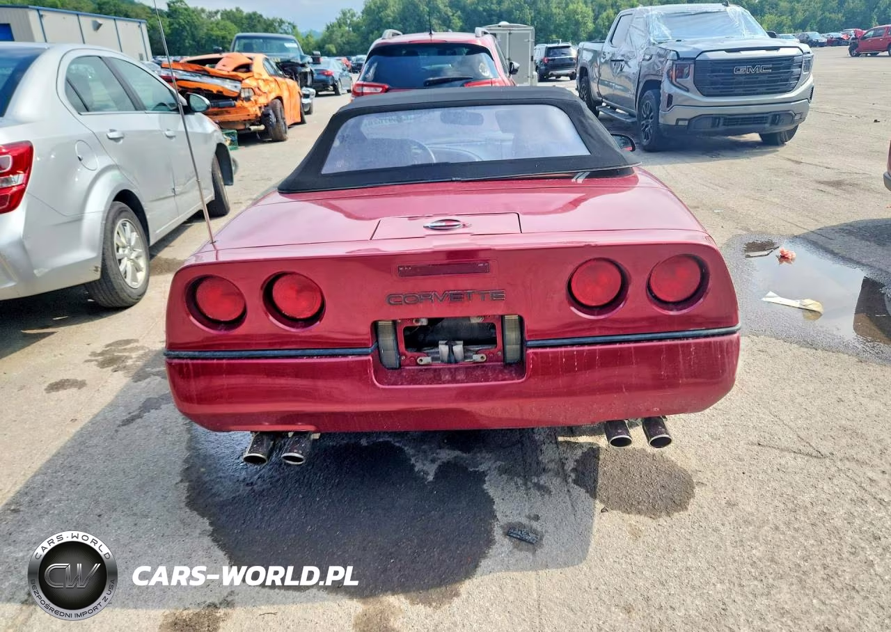 1990 Chevrolet Corvette VIN:1G1YY3384L5116574 - 6