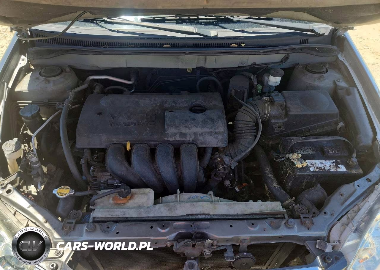 2003 Toyota Corolla Le VIN:1NXBR38E43Z174274 - 11