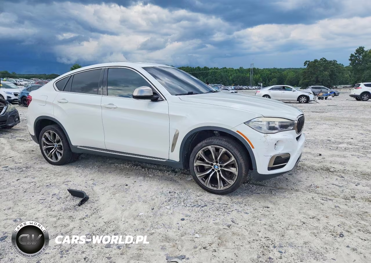 2016 BMW X6 Sdrive35I VIN:5UXKU0C53G0F92297 - 4