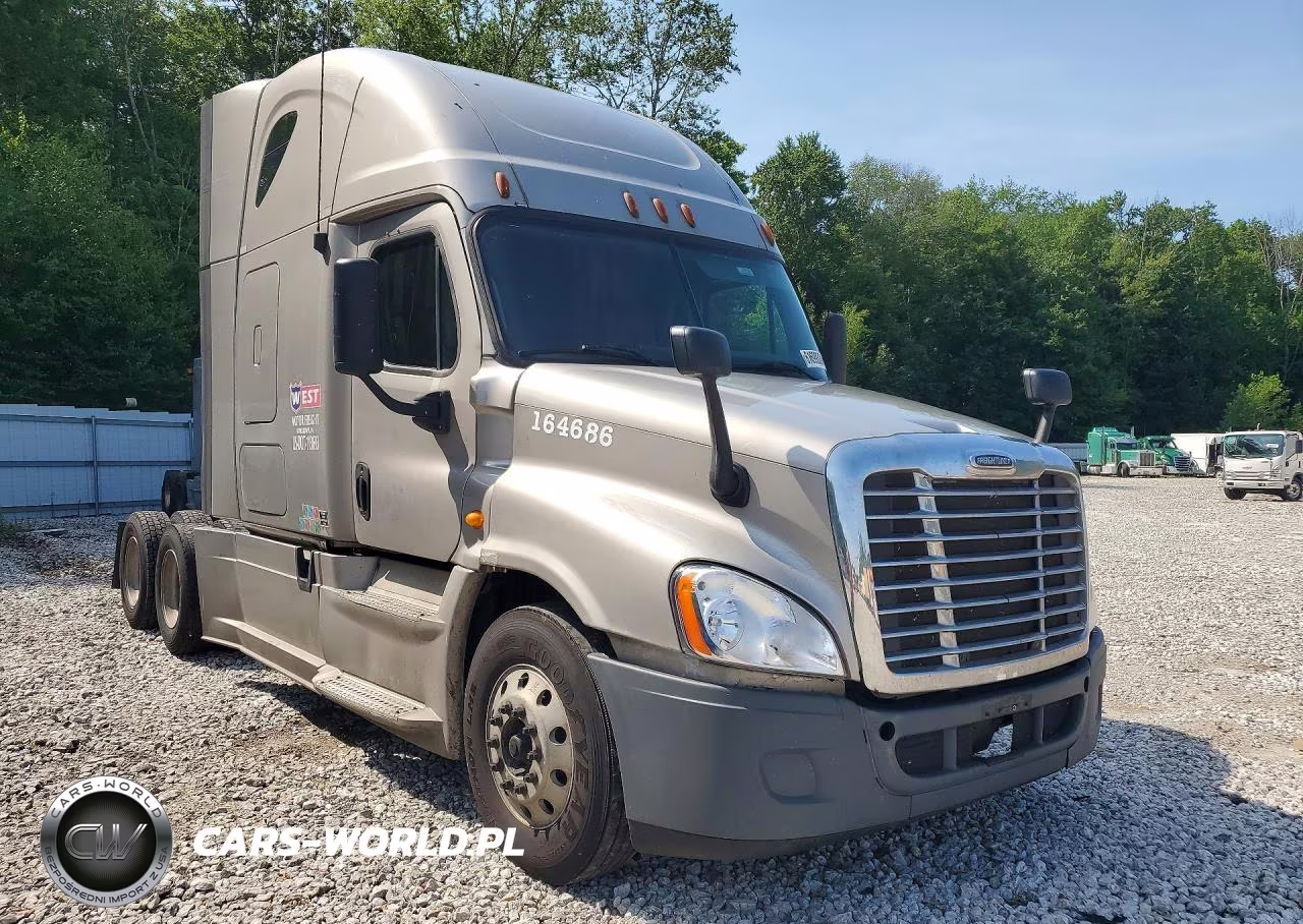 2013 Freightliner Cascadia 125 VIN:1FUJGLDR4DSBV3013 - 4