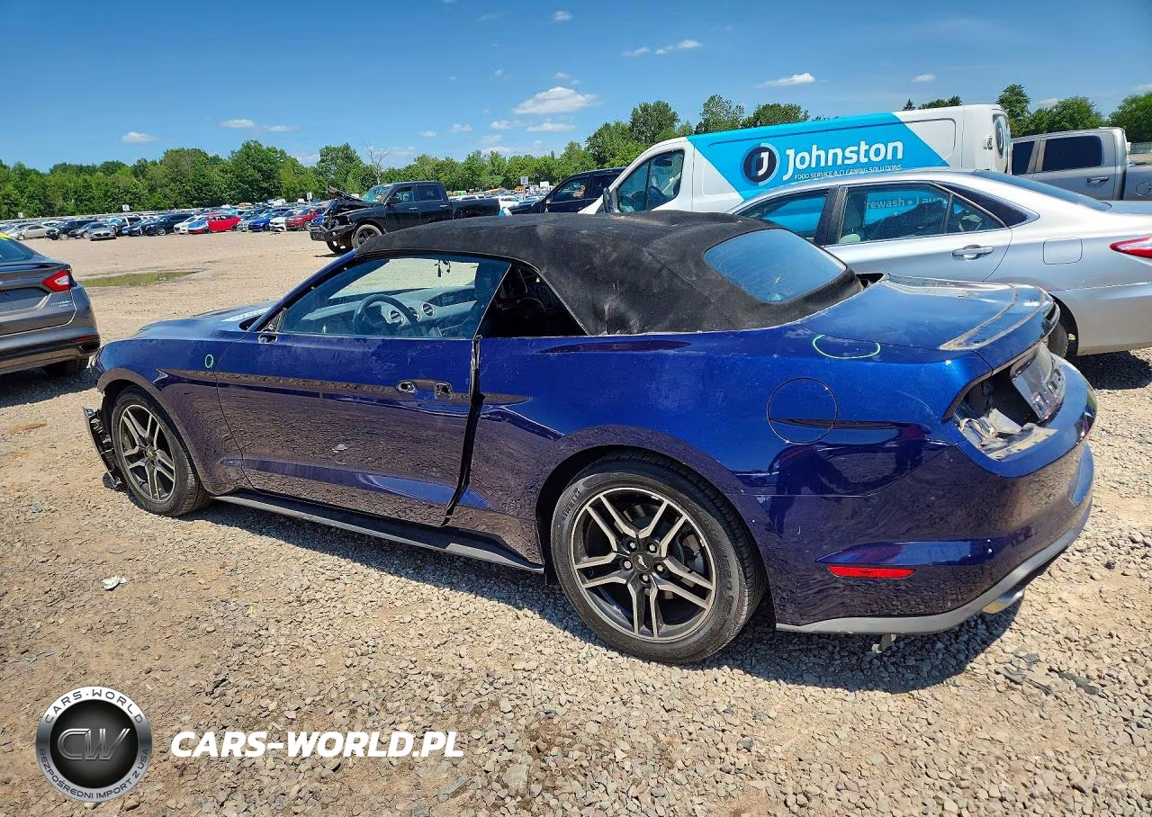 2019 Ford Mustang VIN:1FATP8UH3K5205282 - 2