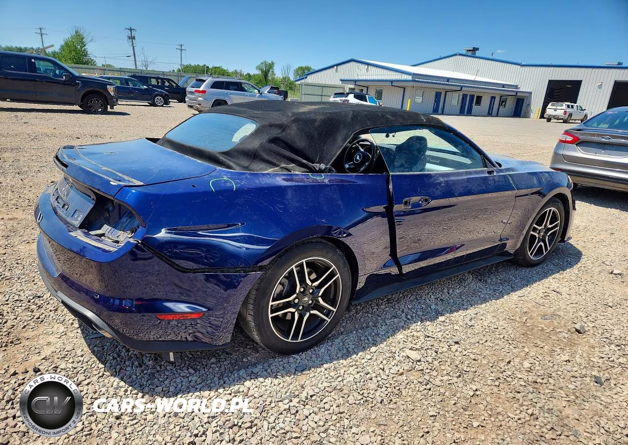 2019 Ford Mustang VIN:1FATP8UH3K5205282 - 3