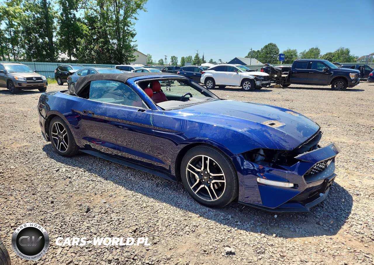 2019 Ford Mustang VIN:1FATP8UH3K5205282 - 4