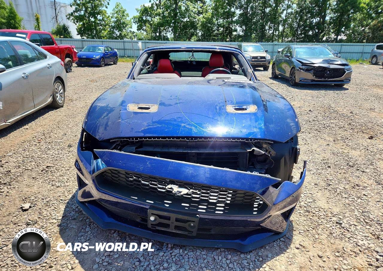 2019 Ford Mustang VIN:1FATP8UH3K5205282 - 5