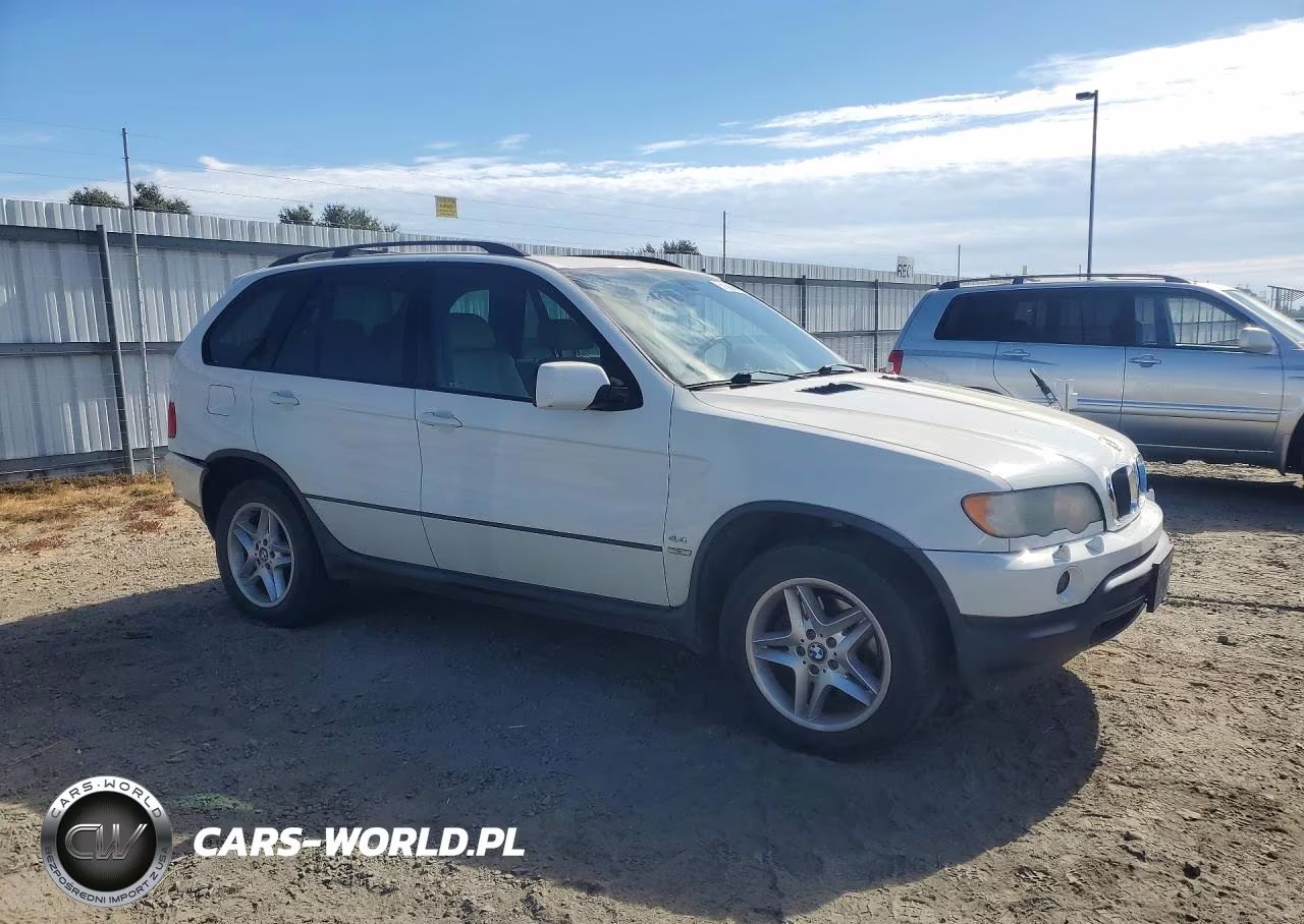 2002 BMW X5 4.4I VIN:5UXFB33532LH35619 - 4