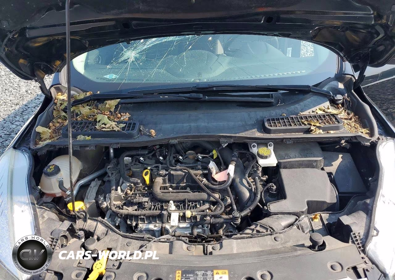 2017 Ford Escape Se VIN:1FMCU0GD4HUC46348 - 12
