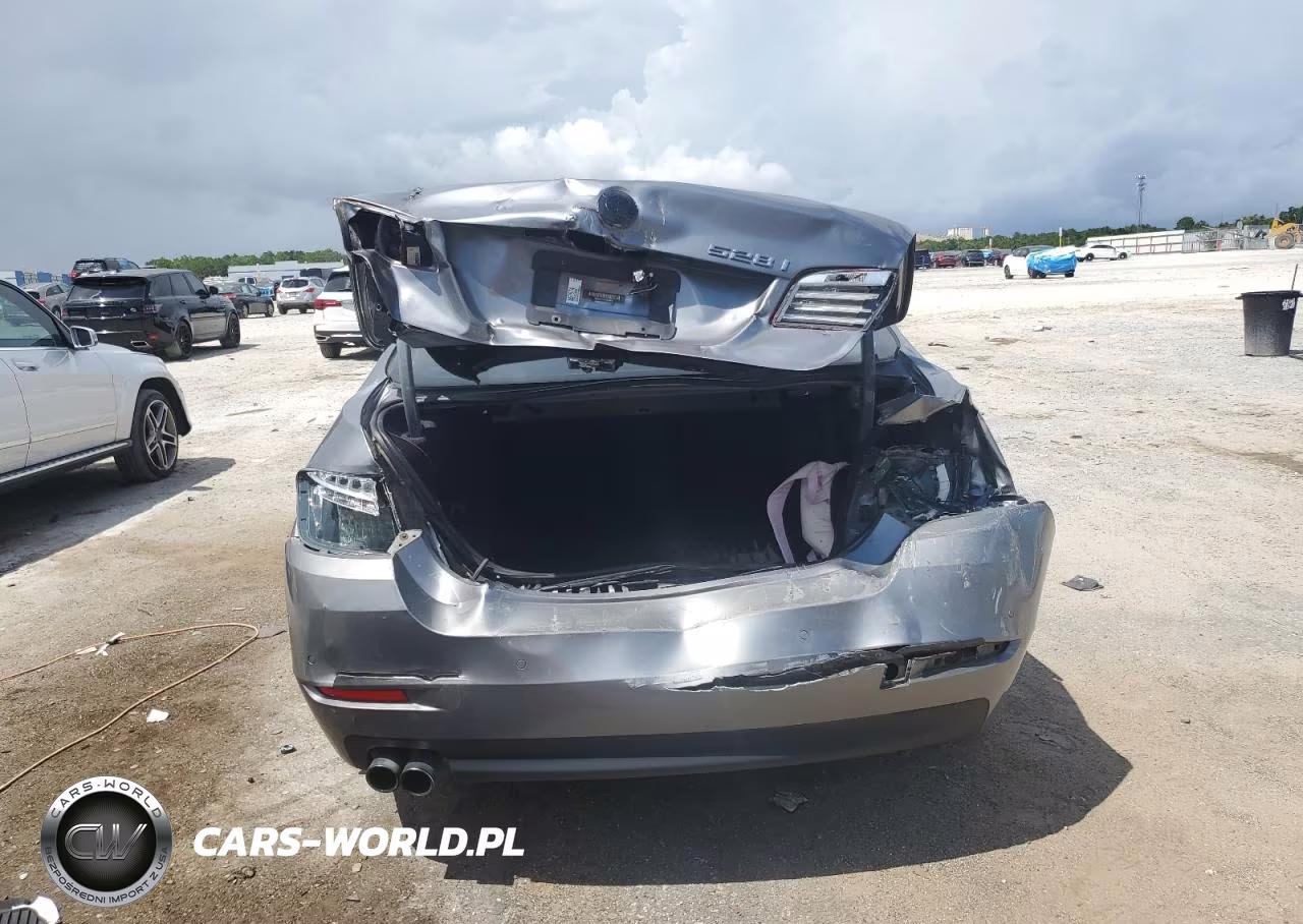 2015 BMW 528 I VIN:WBA5A5C5XFD524617 - 6