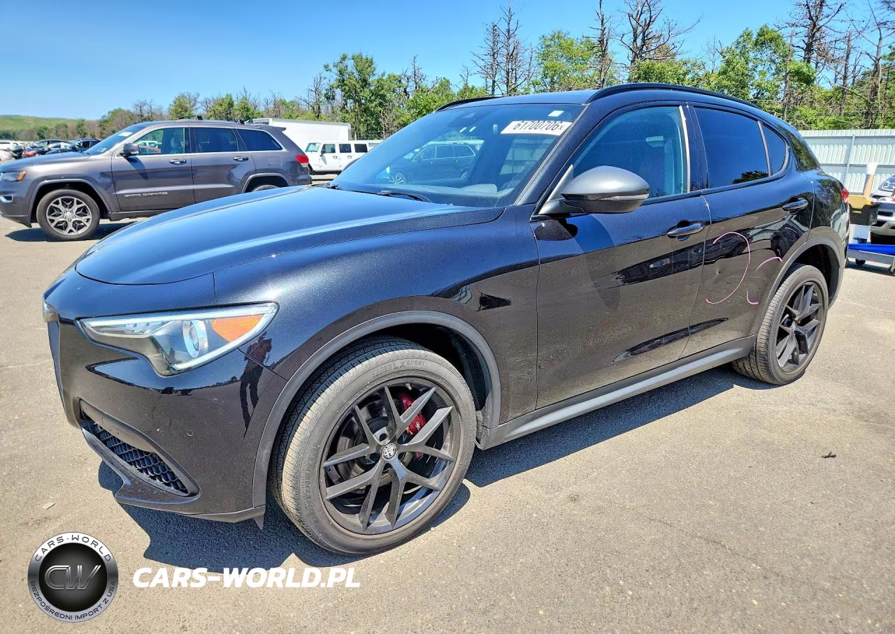 2019 Alfa Romeo Stelvio Ti VIN:ZASPAKBN4K7C68549 - 1