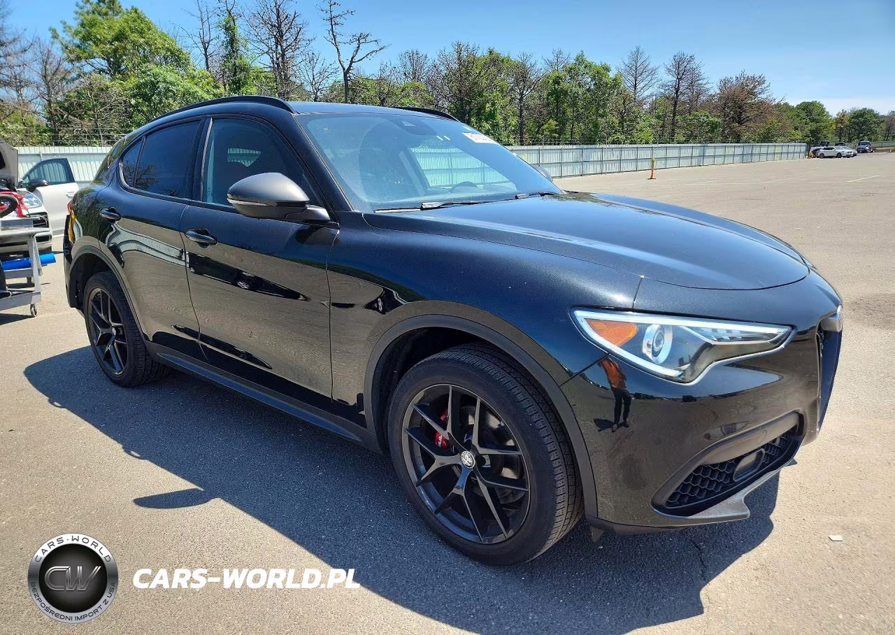 2019 Alfa Romeo Stelvio Ti VIN:ZASPAKBN4K7C68549 - 4