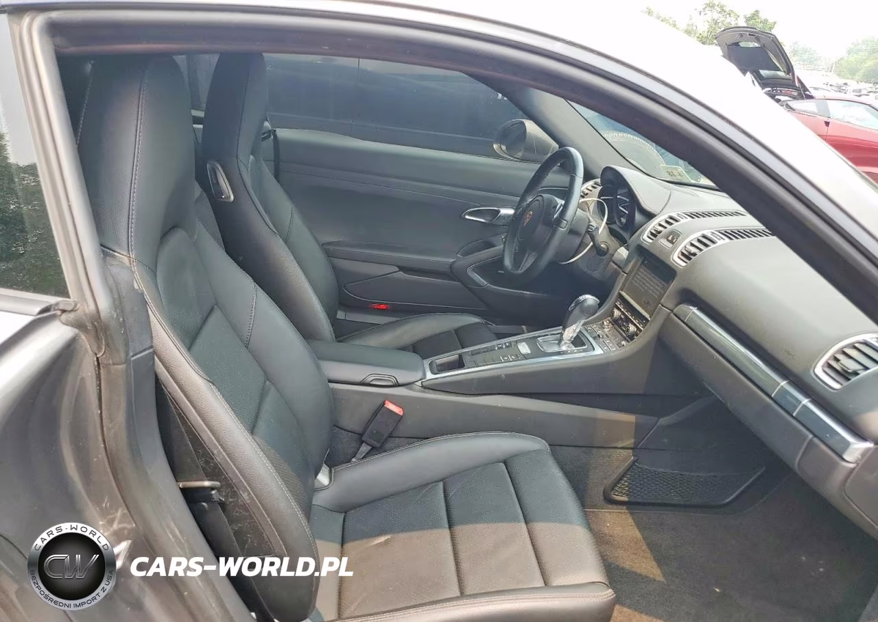 2014 Porsche Cayman VIN:WP0AA2A82EK170311 - 10