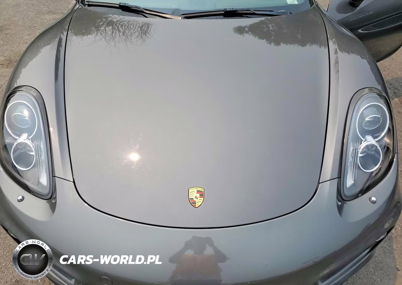 2014 Porsche Cayman VIN:WP0AA2A82EK170311 - 11