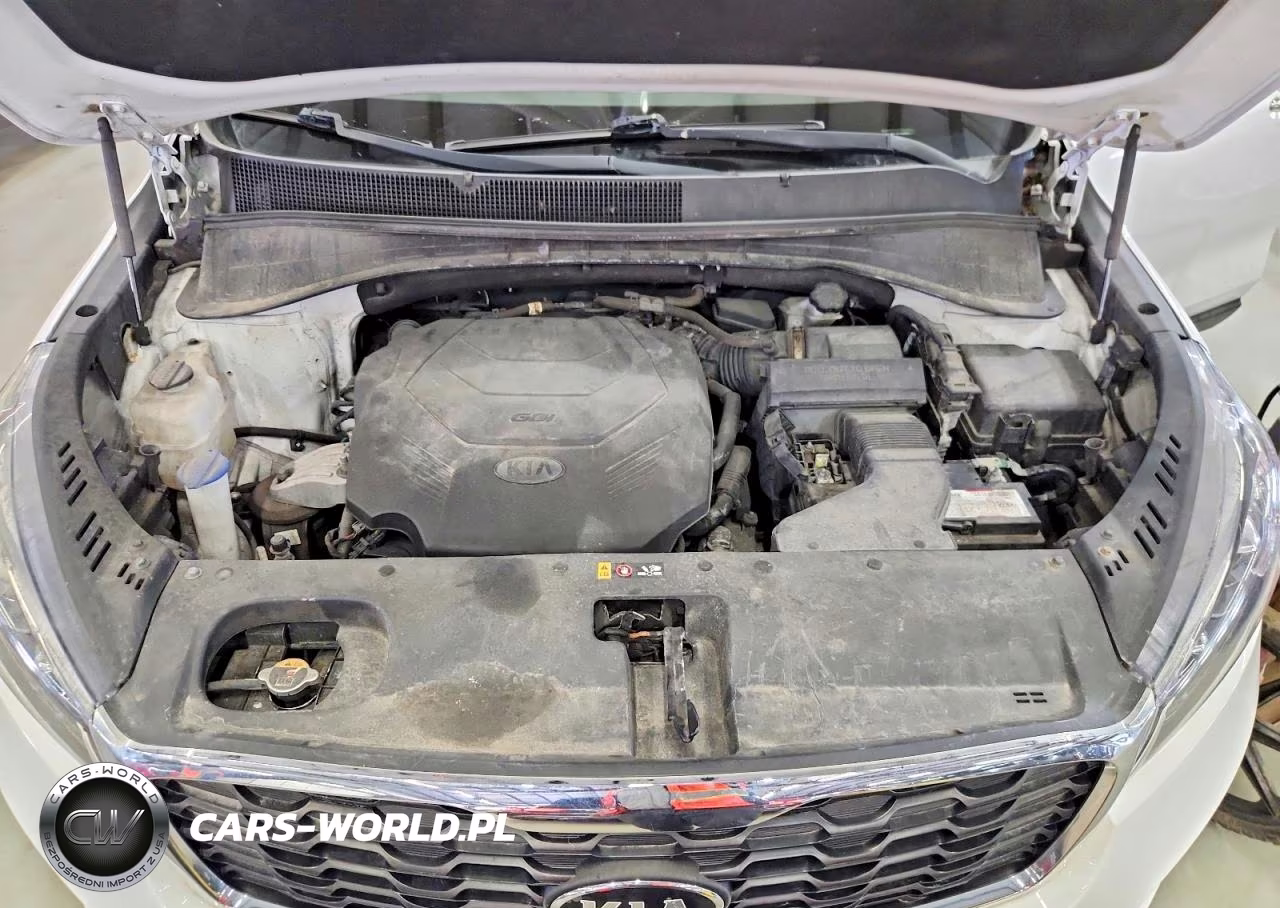 2019 Kia Sorento Lx V6 VIN:5XYPGDA53KG448743 - 12
