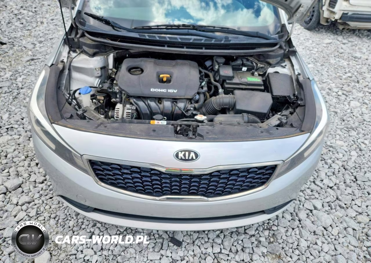2017 Kia Forte Lx VIN:3KPFK4A76HE016231 - 11