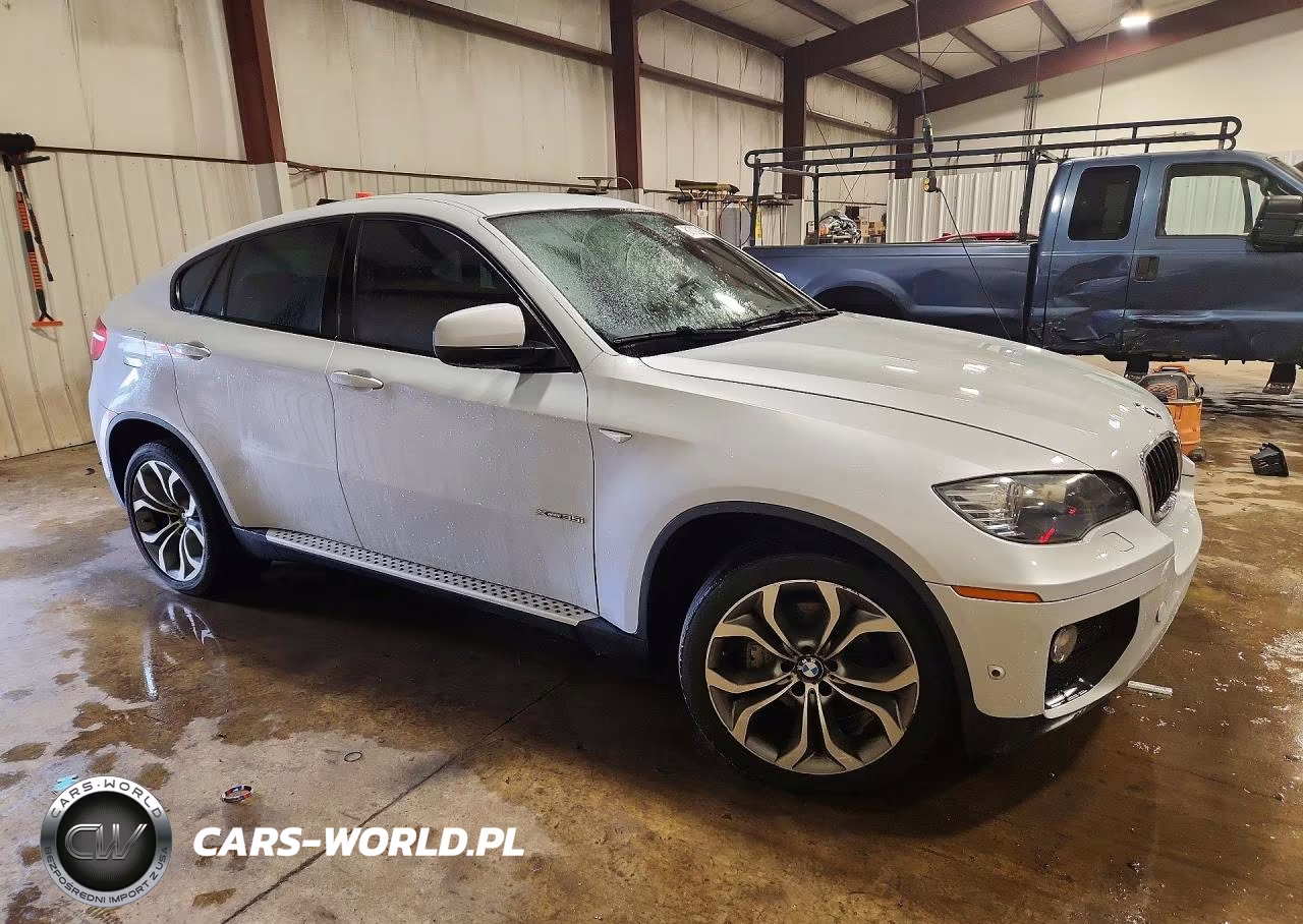 2013 BMW X6 xDrive35I VIN:5UXFG2C53DL786632 - 4