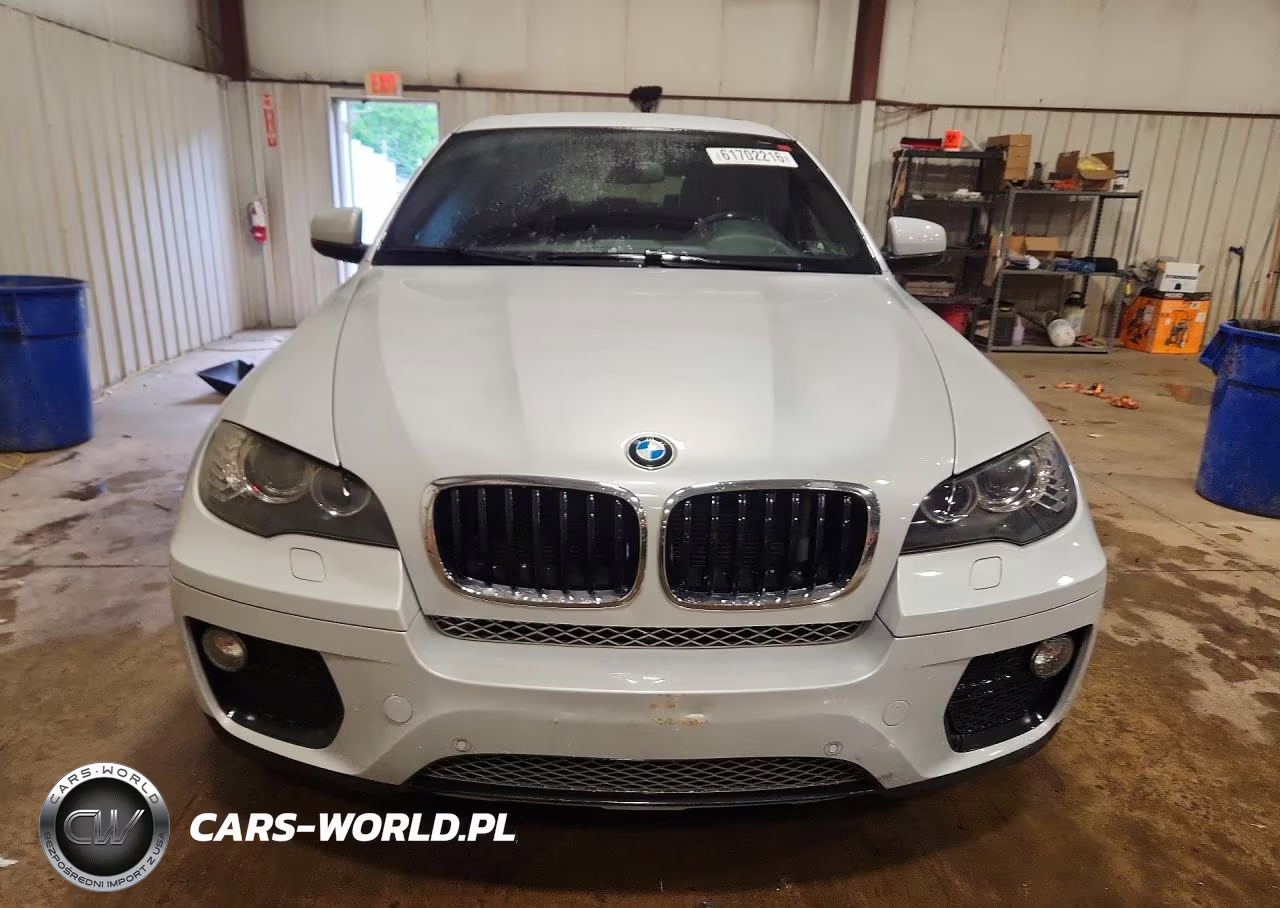 2013 BMW X6 xDrive35I VIN:5UXFG2C53DL786632 - 5
