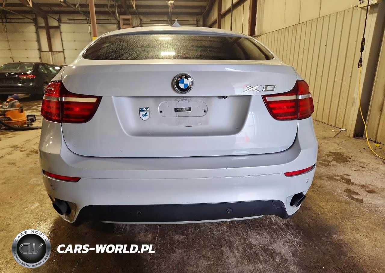 2013 BMW X6 xDrive35I VIN:5UXFG2C53DL786632 - 6