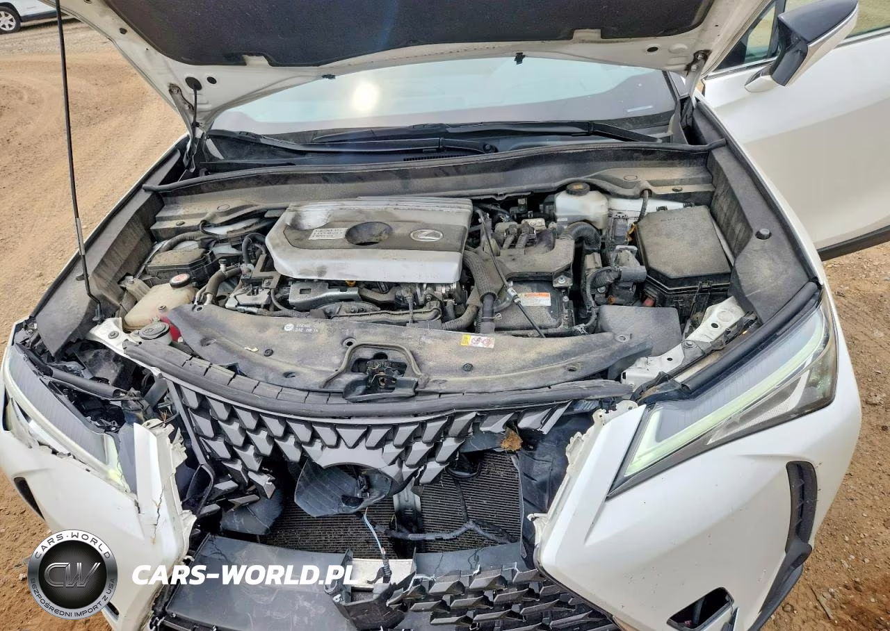 2019 Lexus Ux 250H VIN:JTHU9JBH9K2007728 - 12