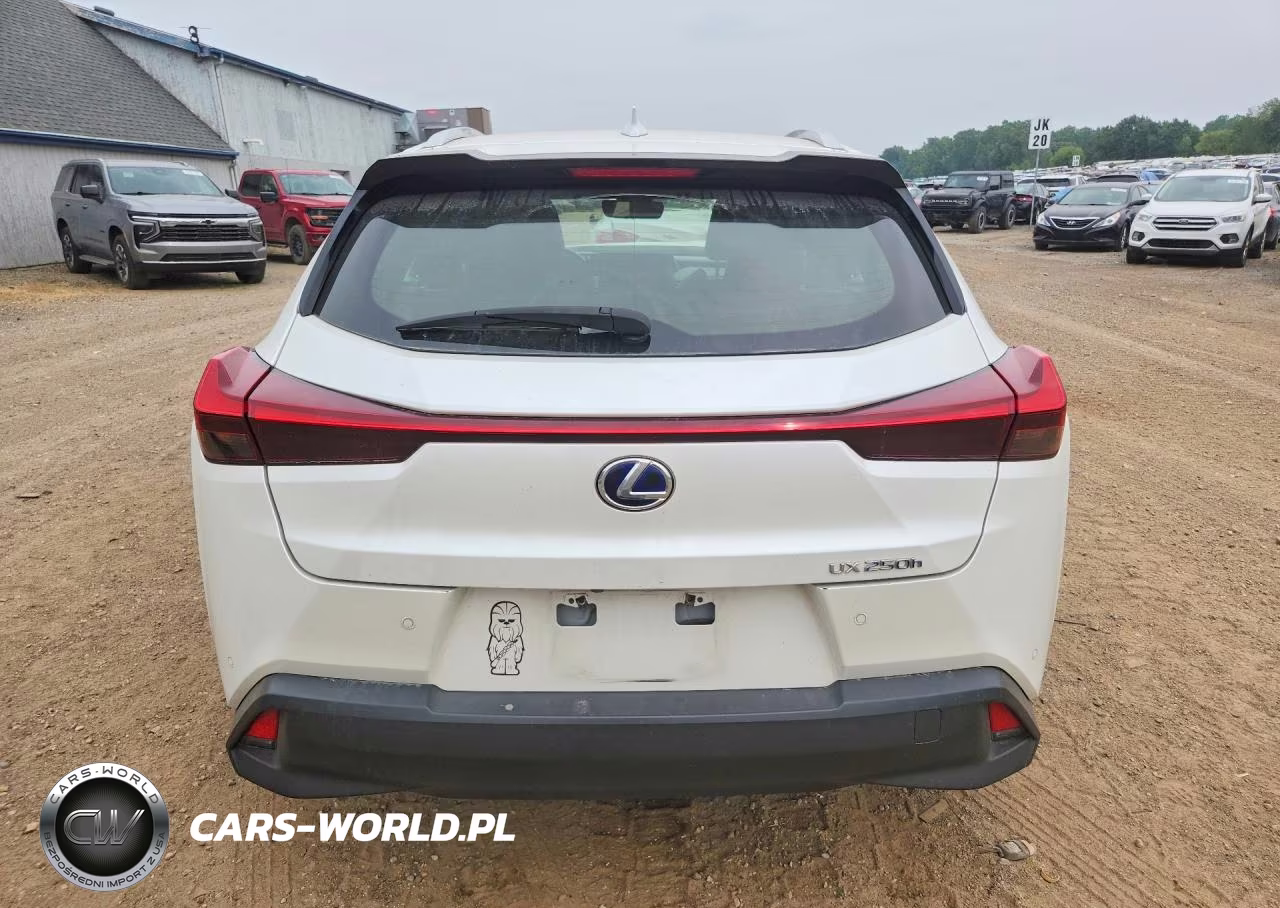 2019 Lexus Ux 250H VIN:JTHU9JBH9K2007728 - 6