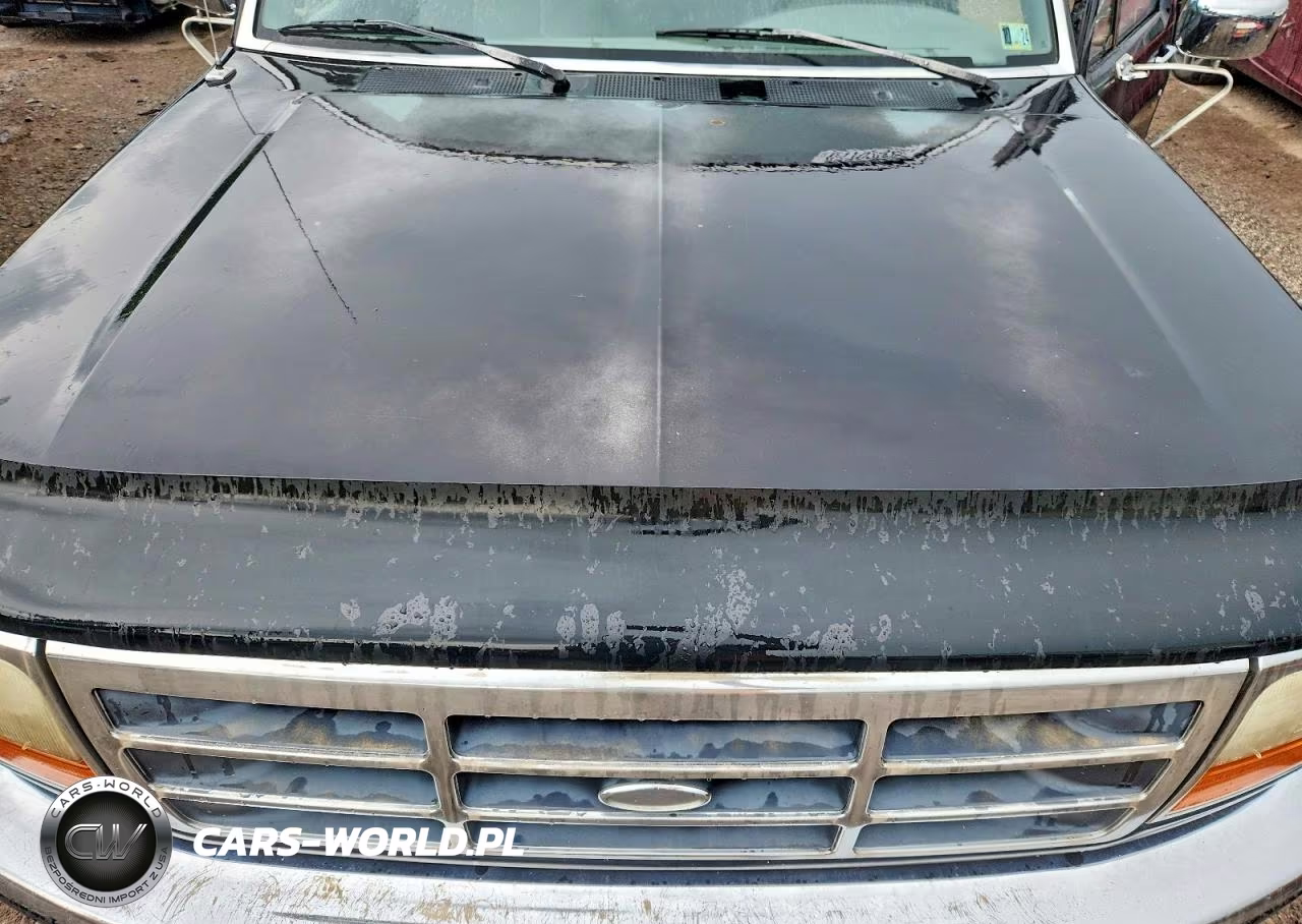 1994 Ford F150 VIN:1FTEF15N6RNB13689 - 11