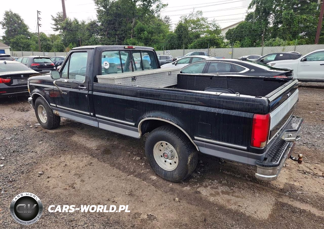 1994 Ford F150 VIN:1FTEF15N6RNB13689 - 2