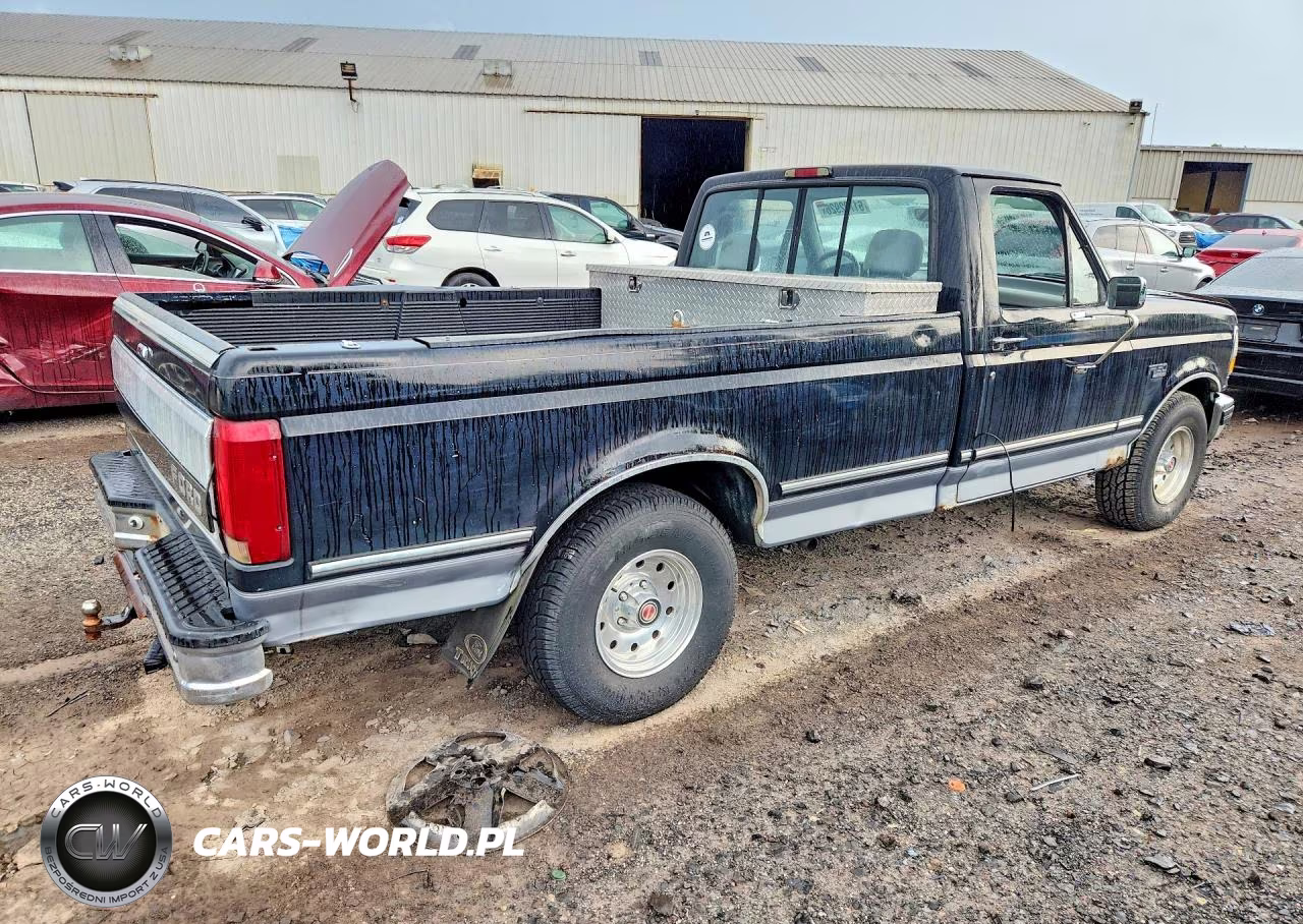 1994 Ford F150 VIN:1FTEF15N6RNB13689 - 3