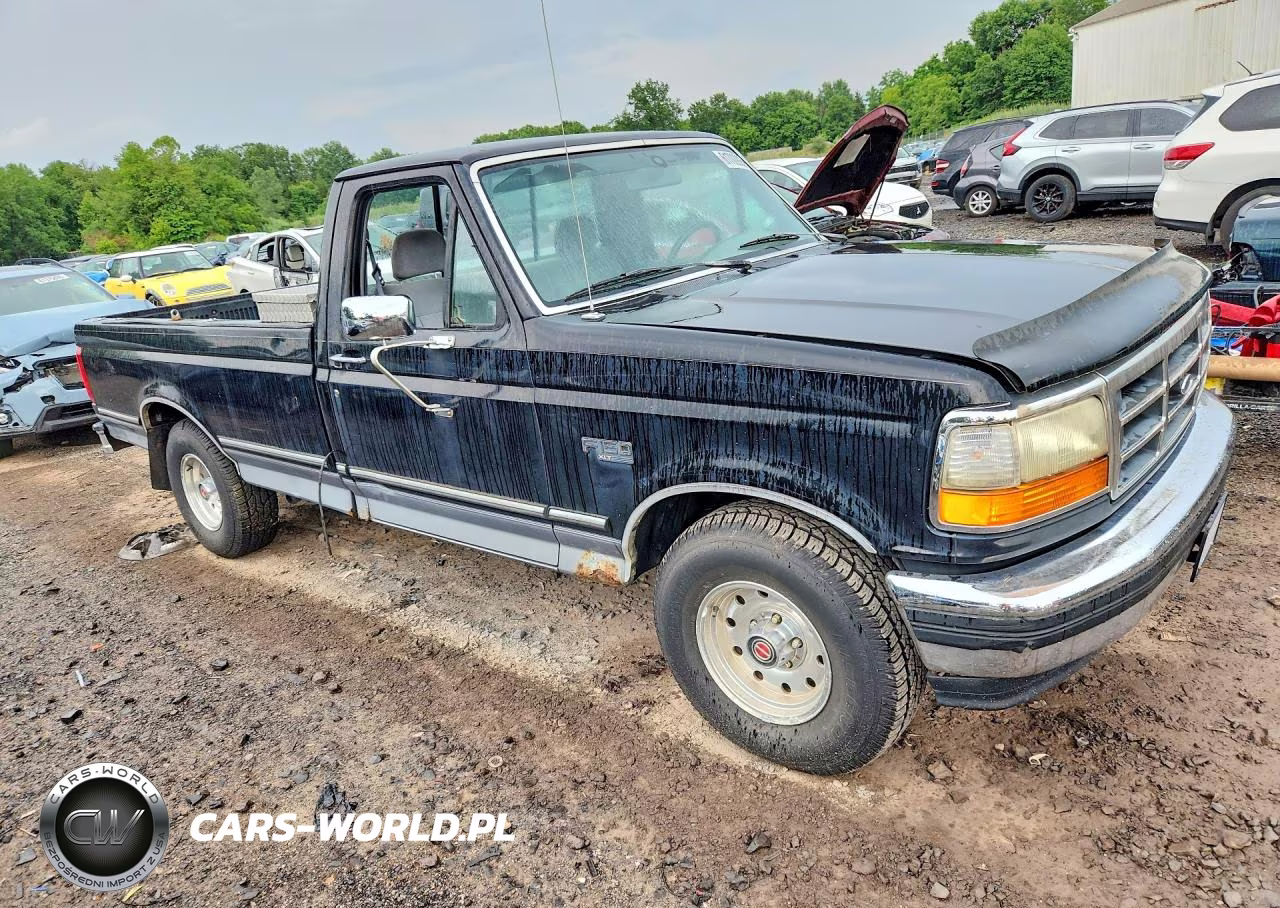 1994 Ford F150 VIN:1FTEF15N6RNB13689 - 4