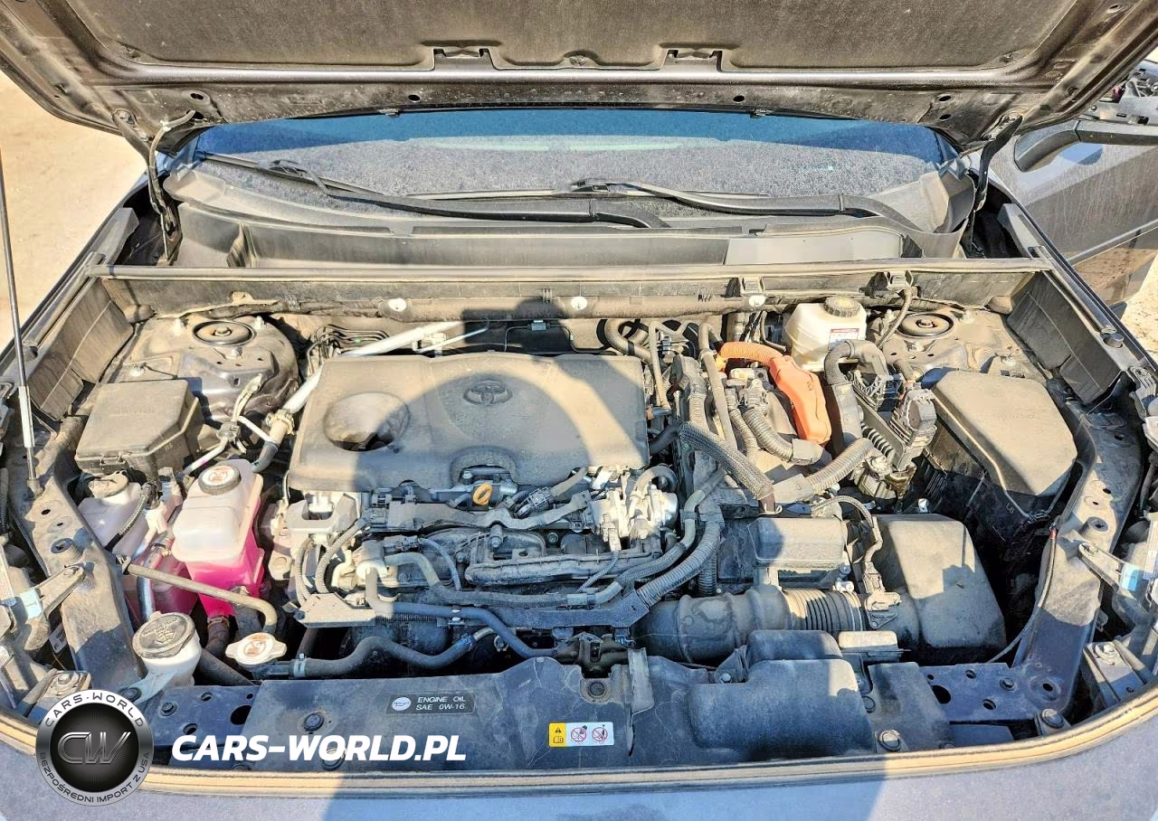 2024 Toyota Rav4 Le VIN:4T3LWRFV3RU154004 - 11