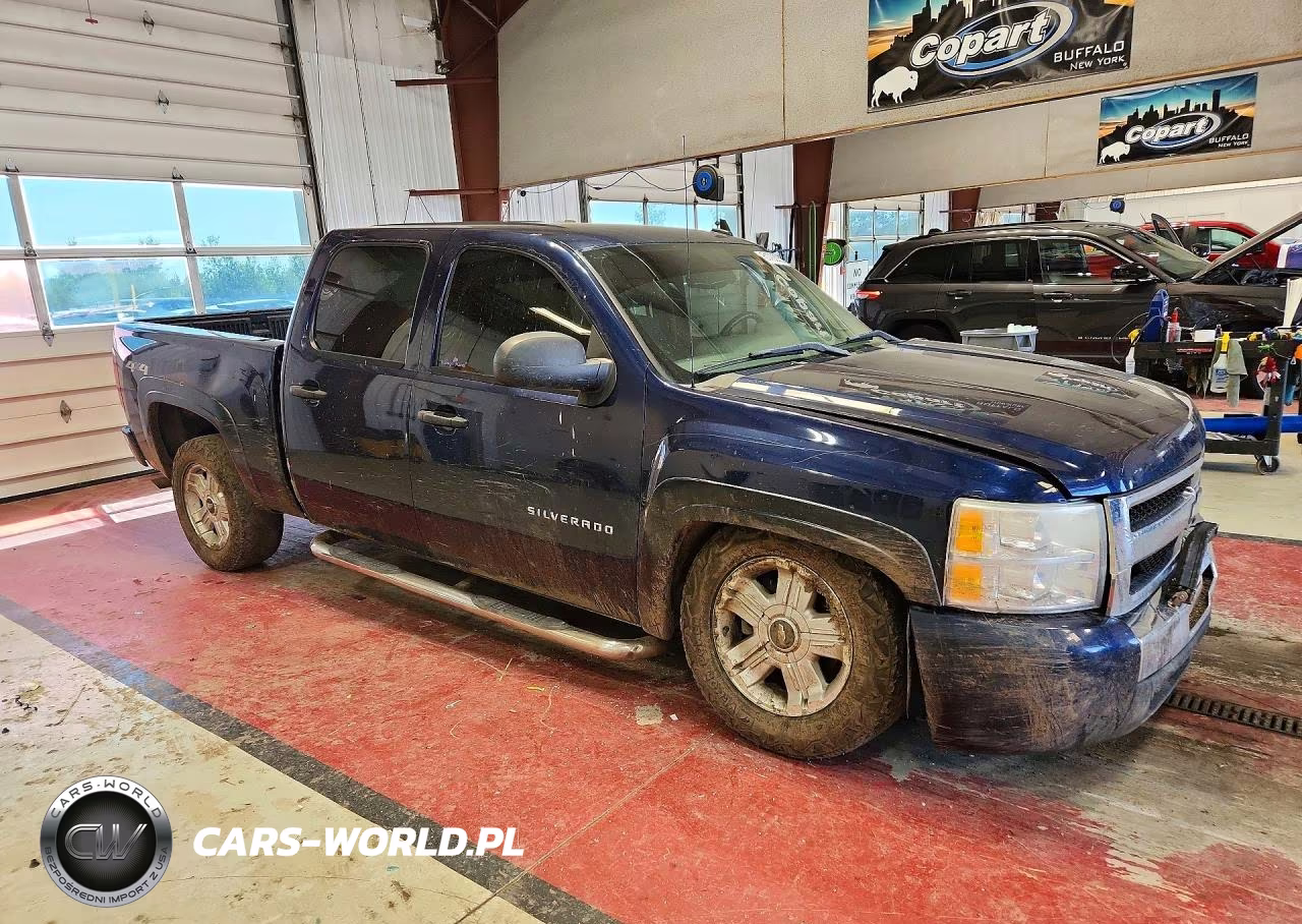 2010 Chevrolet Silverado K1500 Ls VIN:3GCRKREA2AG295199 - 4