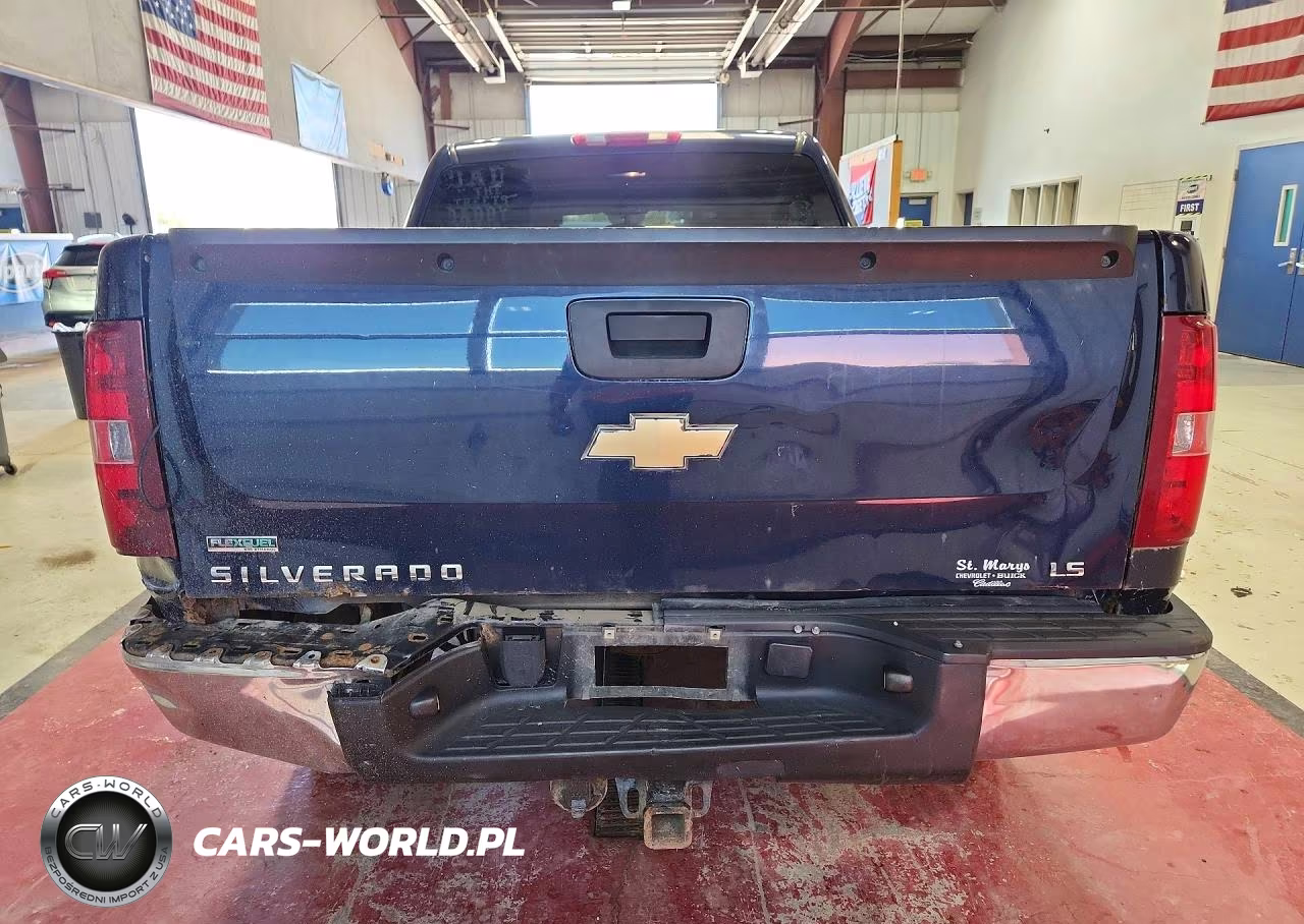 2010 Chevrolet Silverado K1500 Ls VIN:3GCRKREA2AG295199 - 6
