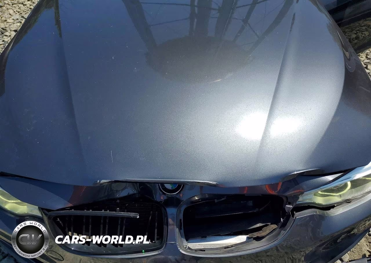 2016 BMW 428 Xi VIN:WBA3N9C51GK249297 - 11