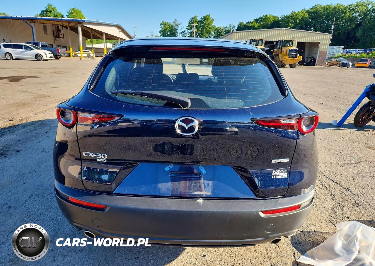 2024 Mazda Cx-30 VIN:3MVDMBAM6RM691675 - 6