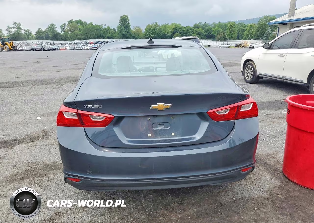 2020 Chevrolet Malibu Ls VIN:1G1ZC5ST6LF064458 - 6