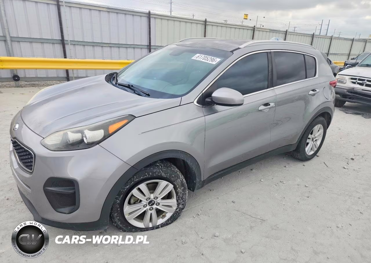 2019 Kia Sportage Lx VIN:KNDPM3AC7K7577423 - 1