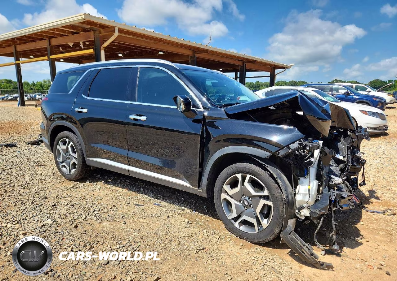 2024 Hyundai Palisade Sel Premium VIN:KM8R44GE5RU769700 - 4