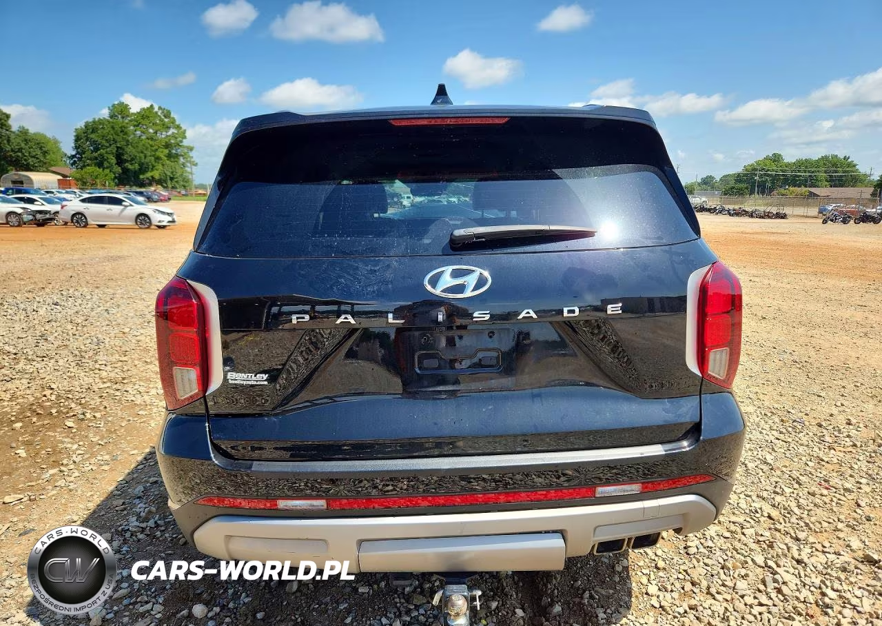 2024 Hyundai Palisade Sel Premium VIN:KM8R44GE5RU769700 - 6