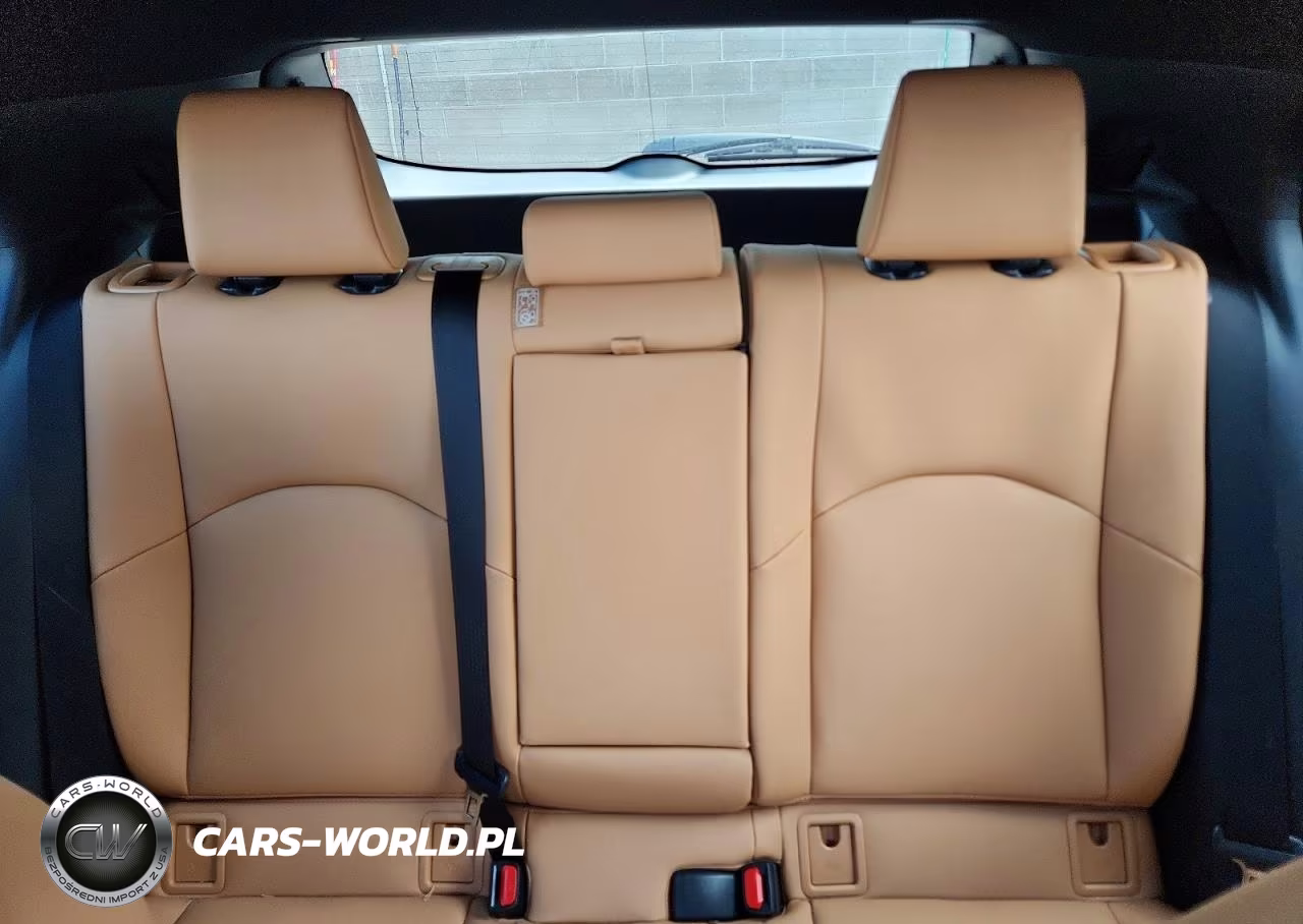 2023 Lexus Ux 250H Premium VIN:JTHP6JBH4P2159509 - 10