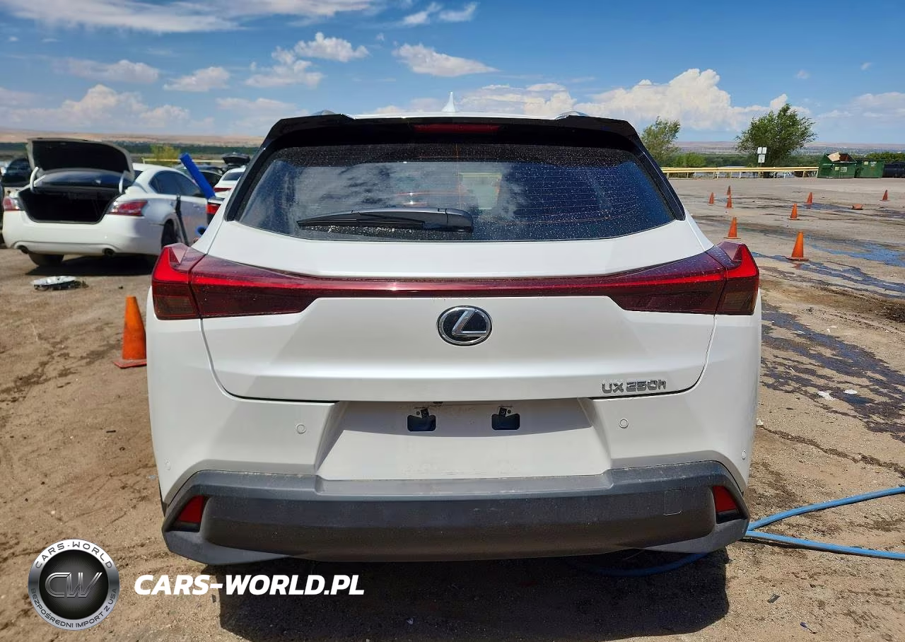 2023 Lexus Ux 250H Premium VIN:JTHP6JBH4P2159509 - 6