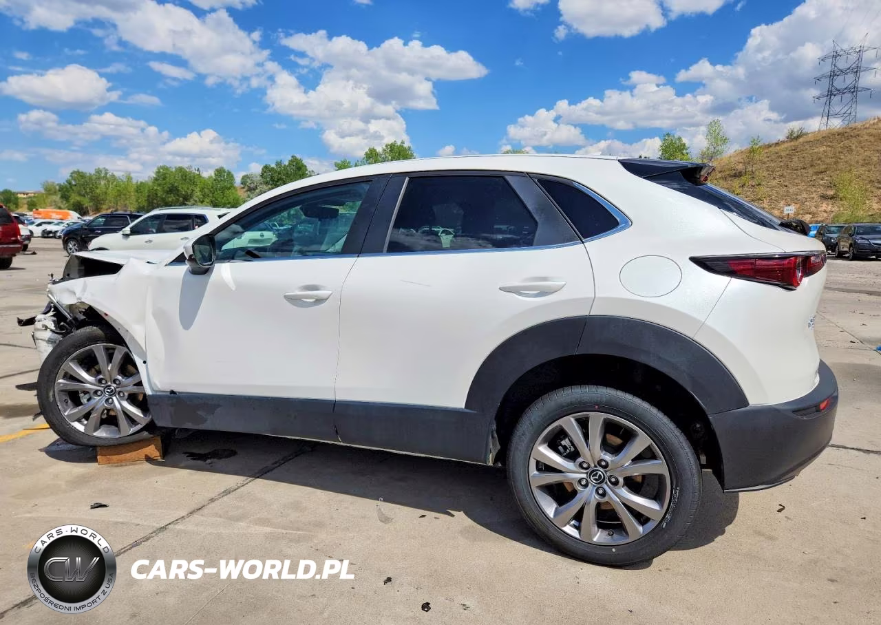 2020 Mazda Cx-30 Preferred VIN:3MVDMBDL1LM129581 - 2