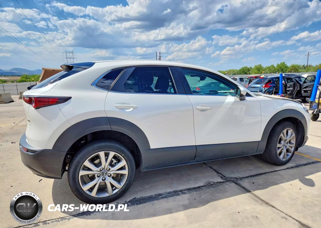 2020 Mazda Cx-30 Preferred VIN:3MVDMBDL1LM129581 - 3